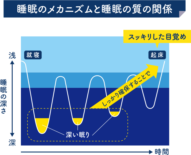 睡眠のメカニズムと睡眠の質の関係