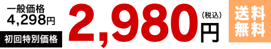 初回特別価格2,980円(税込)【送料無料】