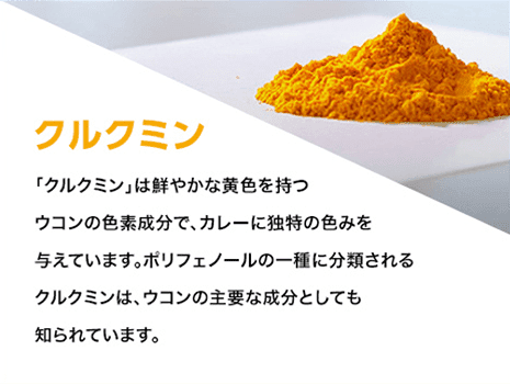 クルクミン