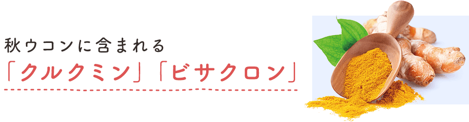 秋ウコンに含まれる「クルクミン」「ビサクロン」
