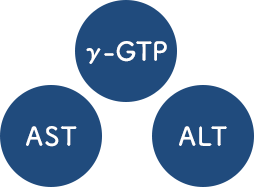 γ-GTP、AST、ALT
