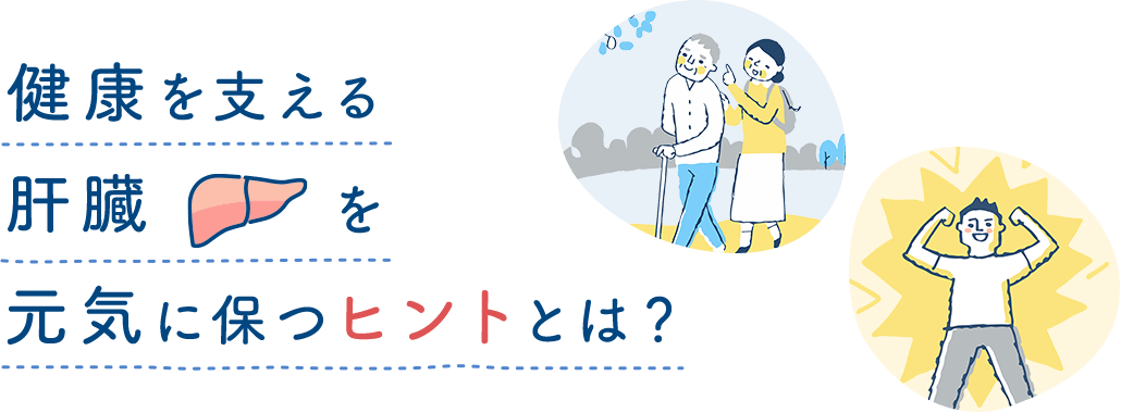 健康を支える肝臓を元気に保つヒントとは？