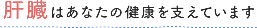 肝臓はあなたの健康を支えています